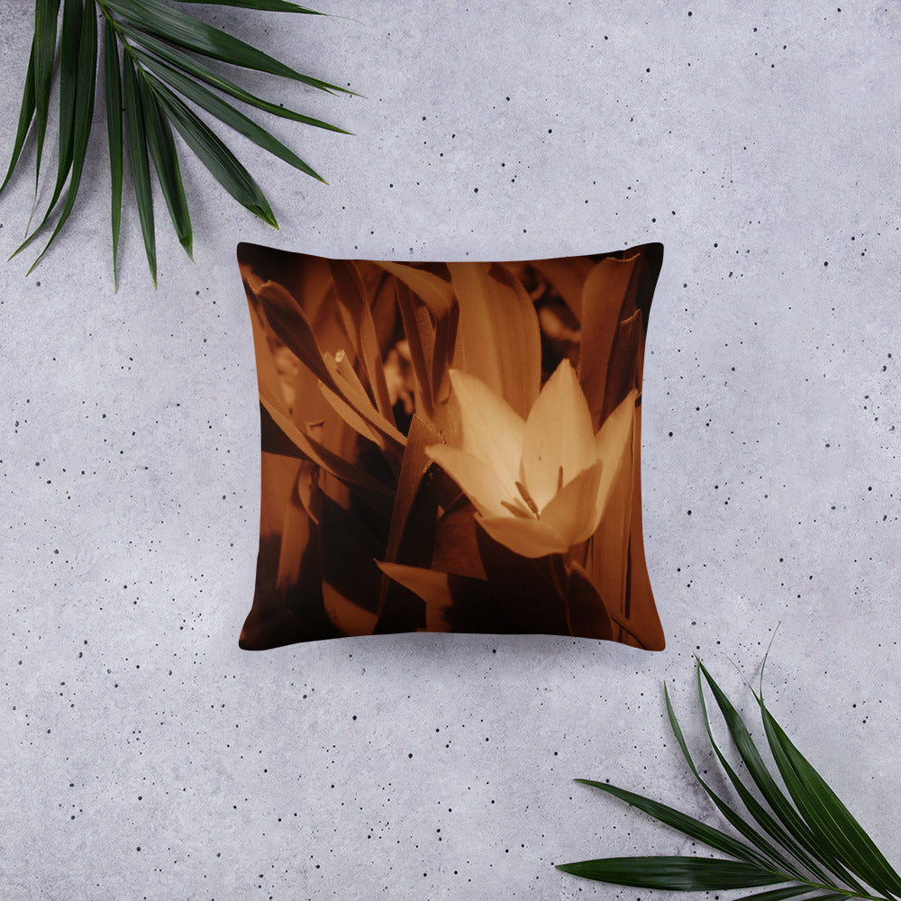 Basic Pillow - Sepia Opened Tulip
