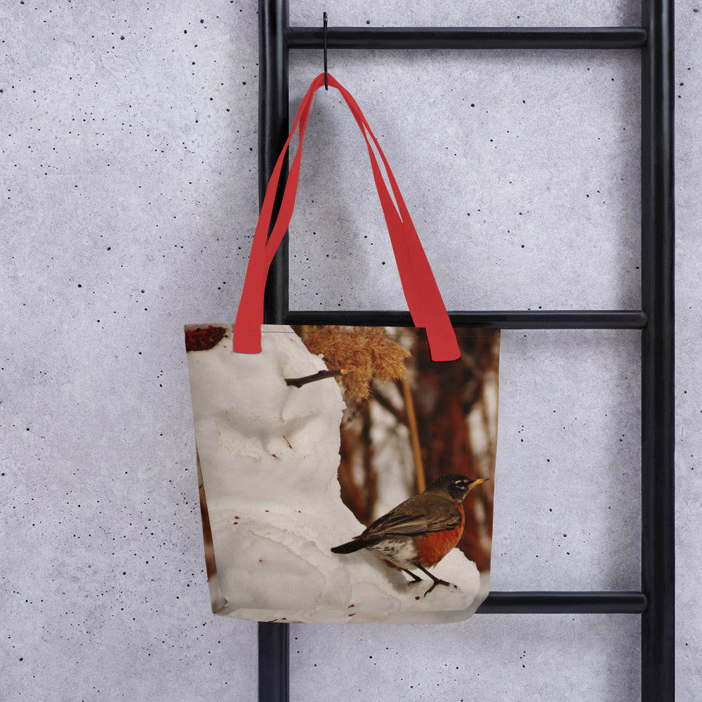 Sac fourre-tout - Bonhomme de neige et Robin
