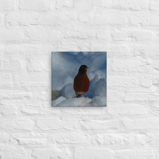 Lienzo- Winter Robin 2