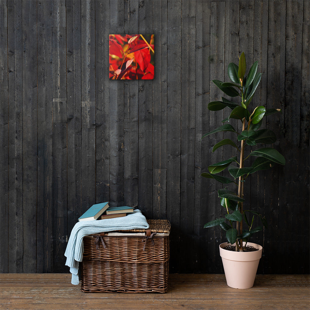 Canvas- Red & Gold Foliage 2