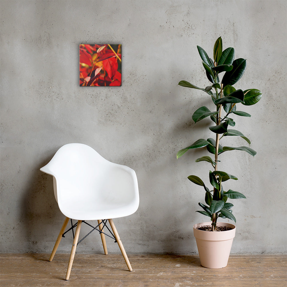 Canvas- Red & Gold Foliage 2