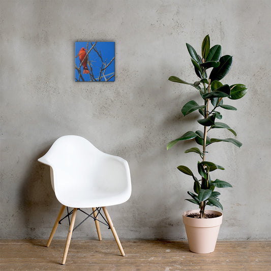 Toile - Cardinal rouge