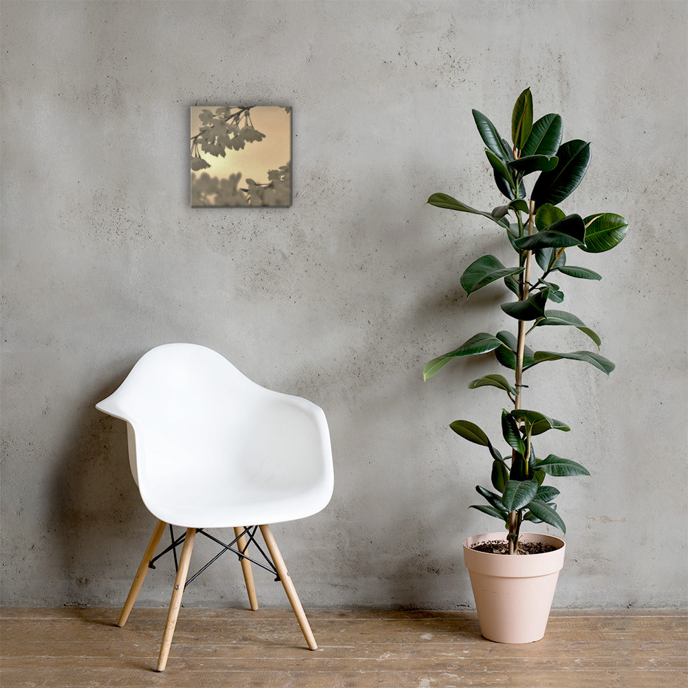 Canvas - Sepia Cherry Blossoms