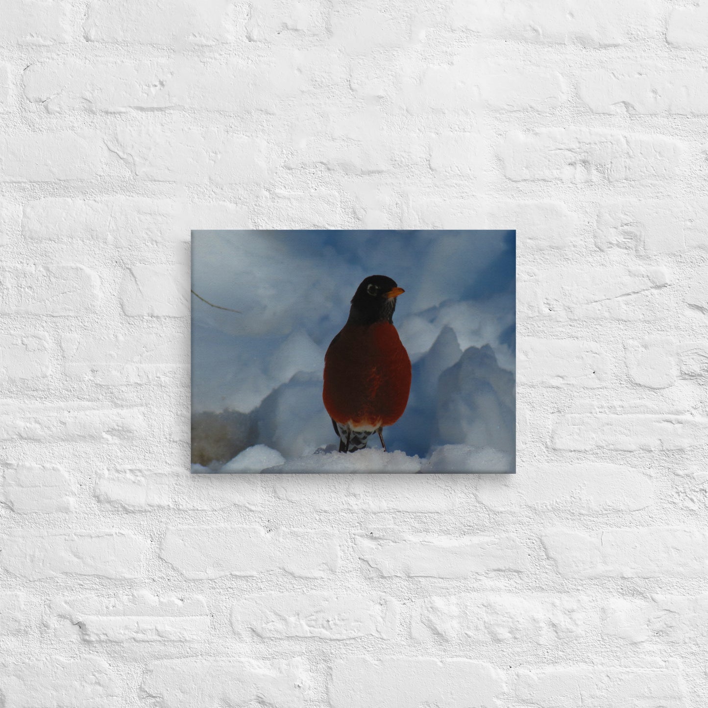 Lienzo- Winter Robin 2
