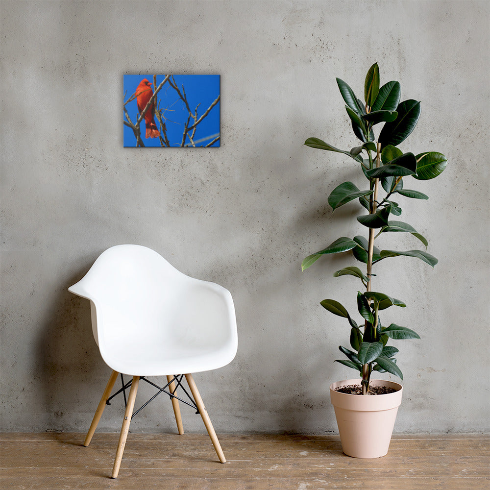 Toile - Cardinal rouge