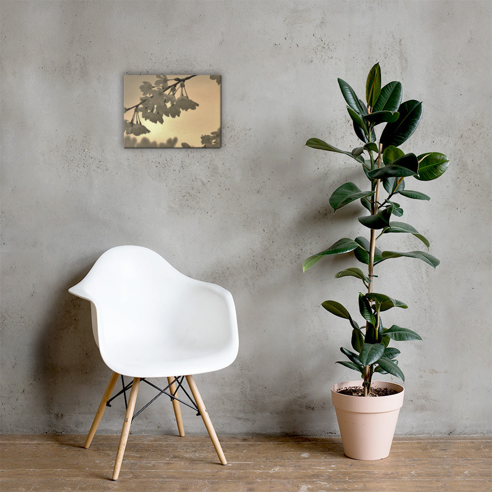 Canvas - Sepia Cherry Blossoms