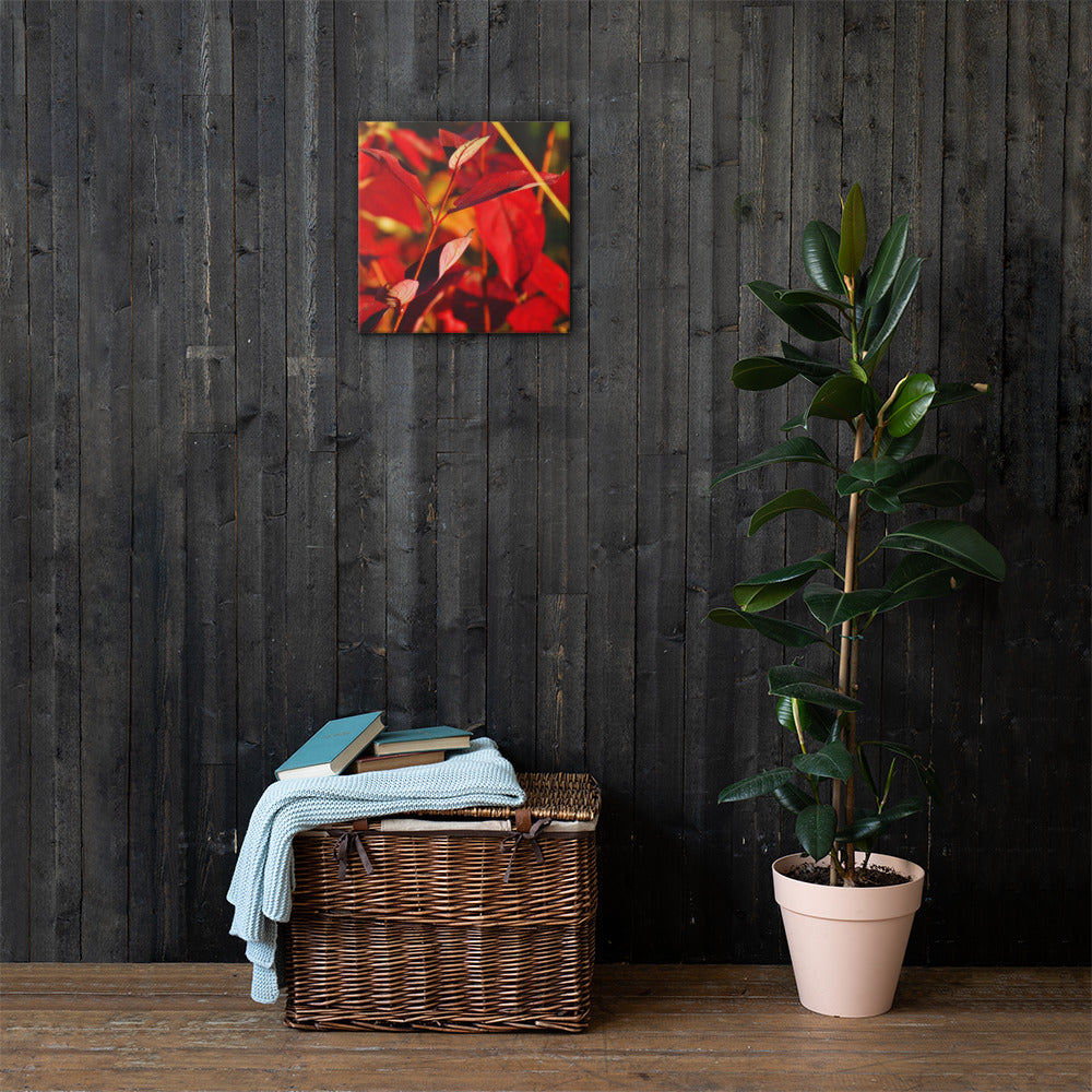 Canvas- Red & Gold Foliage 2