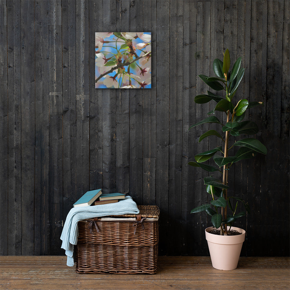 Canvas- Cherry Blossom Cluster