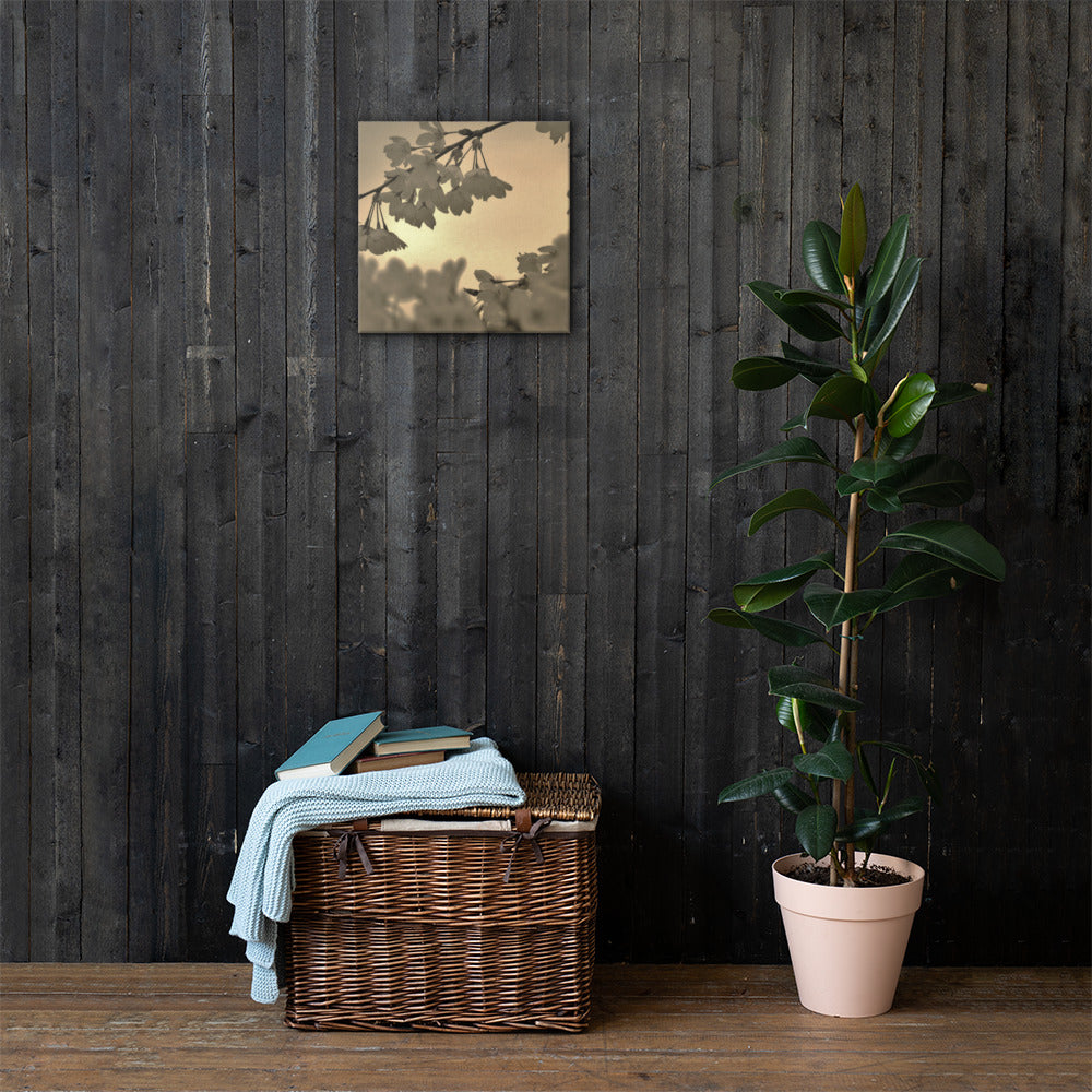 Canvas - Sepia Cherry Blossoms