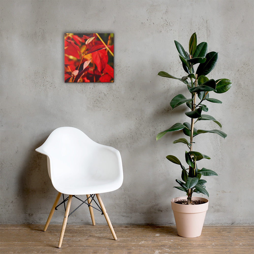 Canvas- Red & Gold Foliage 2