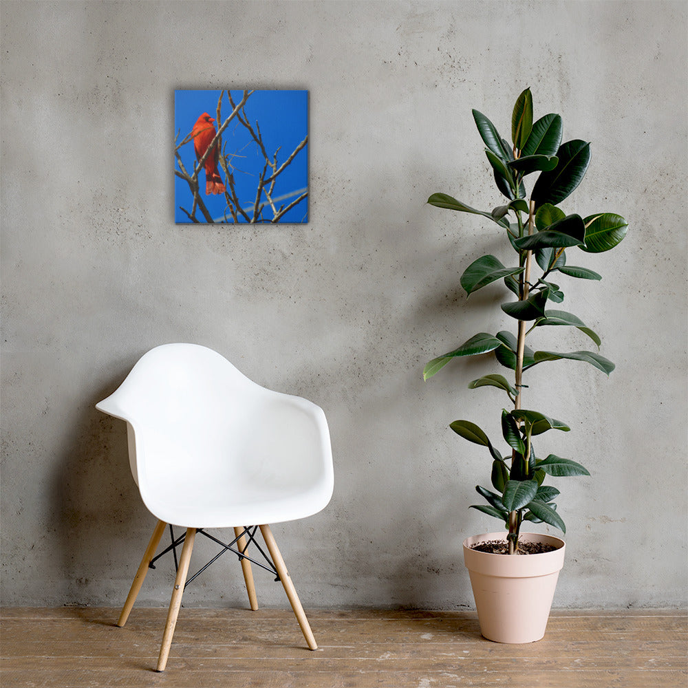 Toile - Cardinal rouge