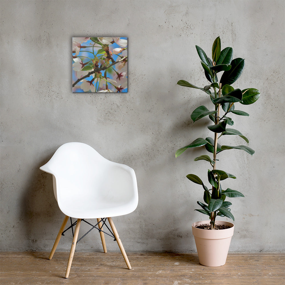 Canvas- Cherry Blossom Cluster