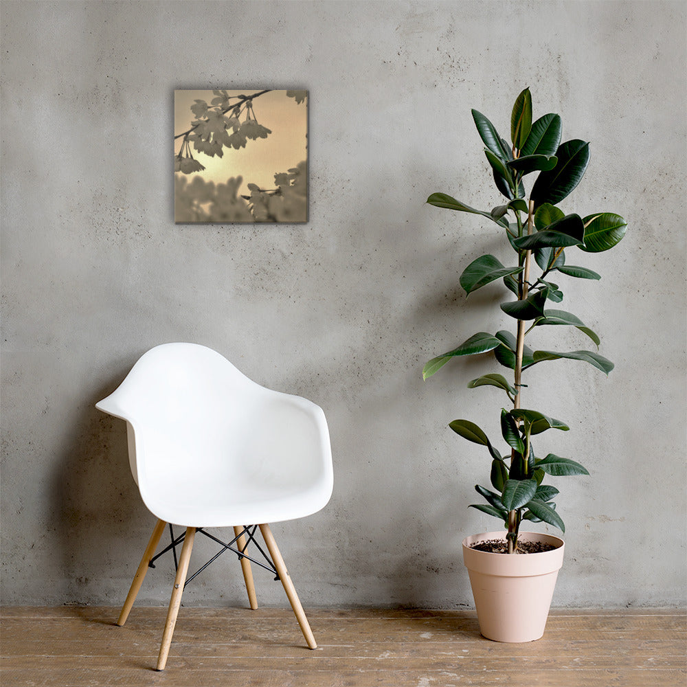 Canvas - Sepia Cherry Blossoms