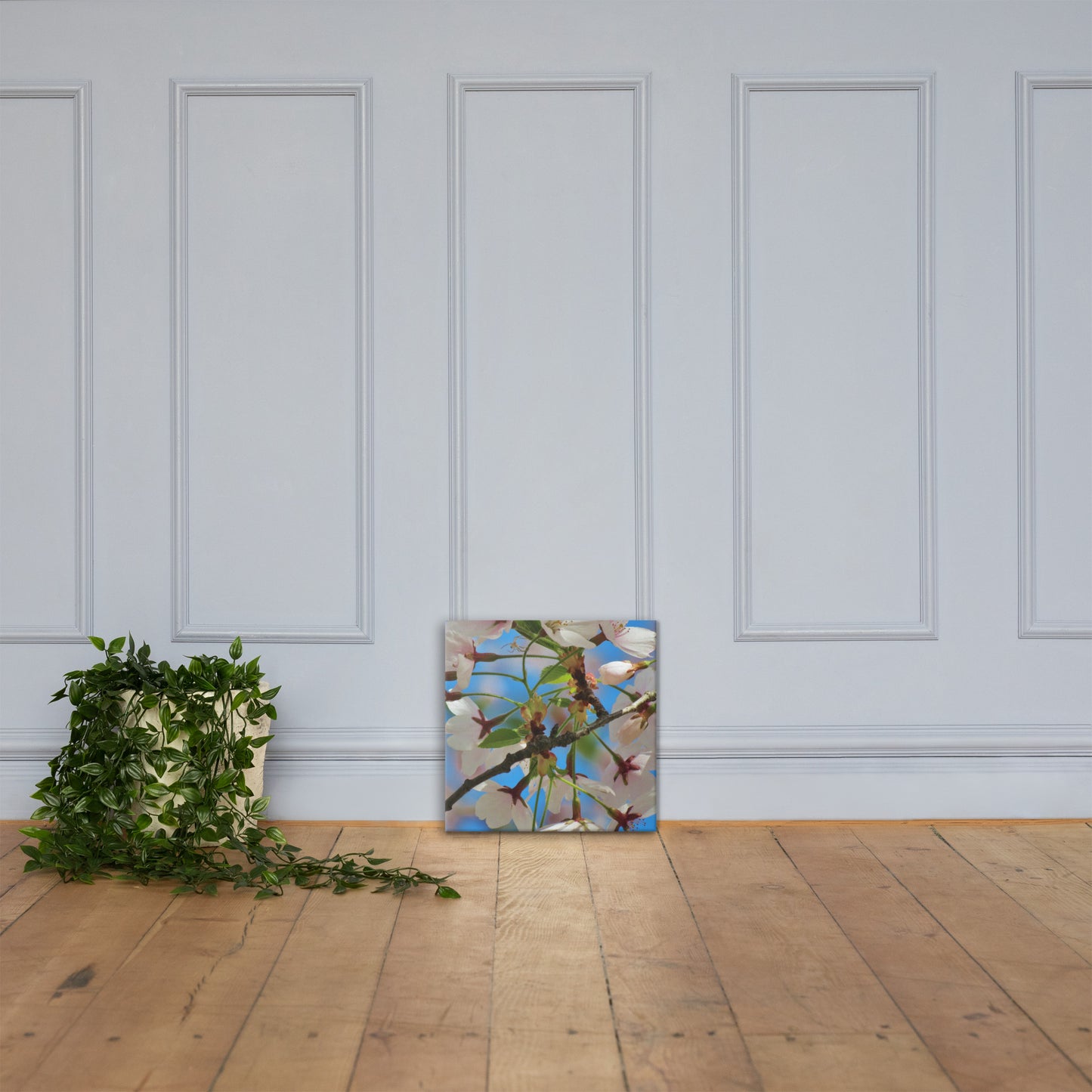 Canvas- Cherry Blossom Cluster