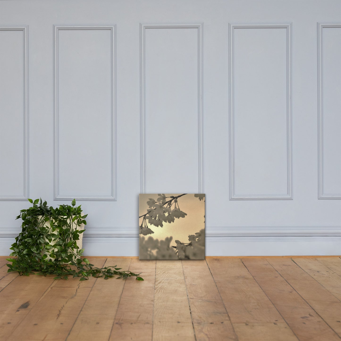Canvas - Sepia Cherry Blossoms