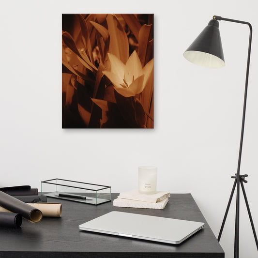 Canvas - Sepia Opened Tulip
