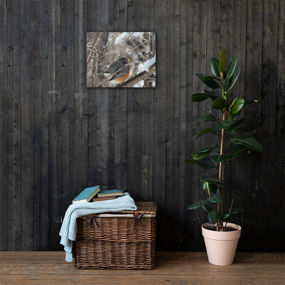 Toile- Robin des neiges