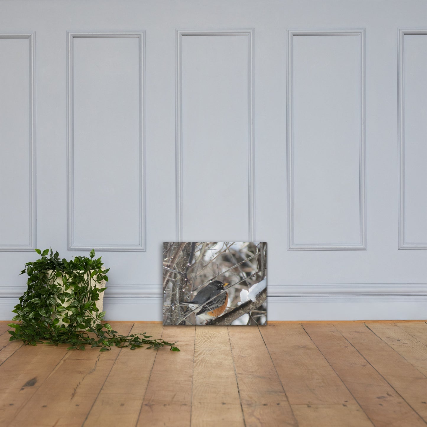 Toile- Robin des neiges