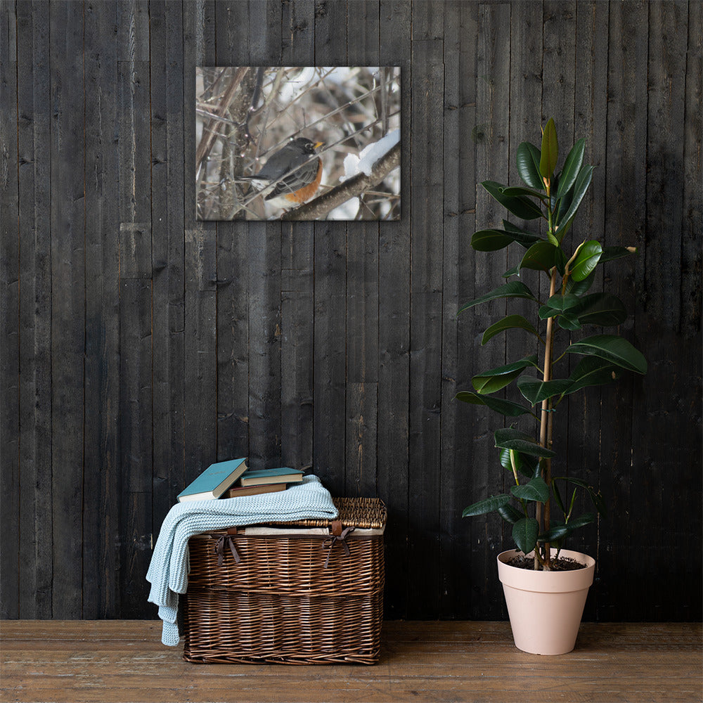 Toile- Robin des neiges