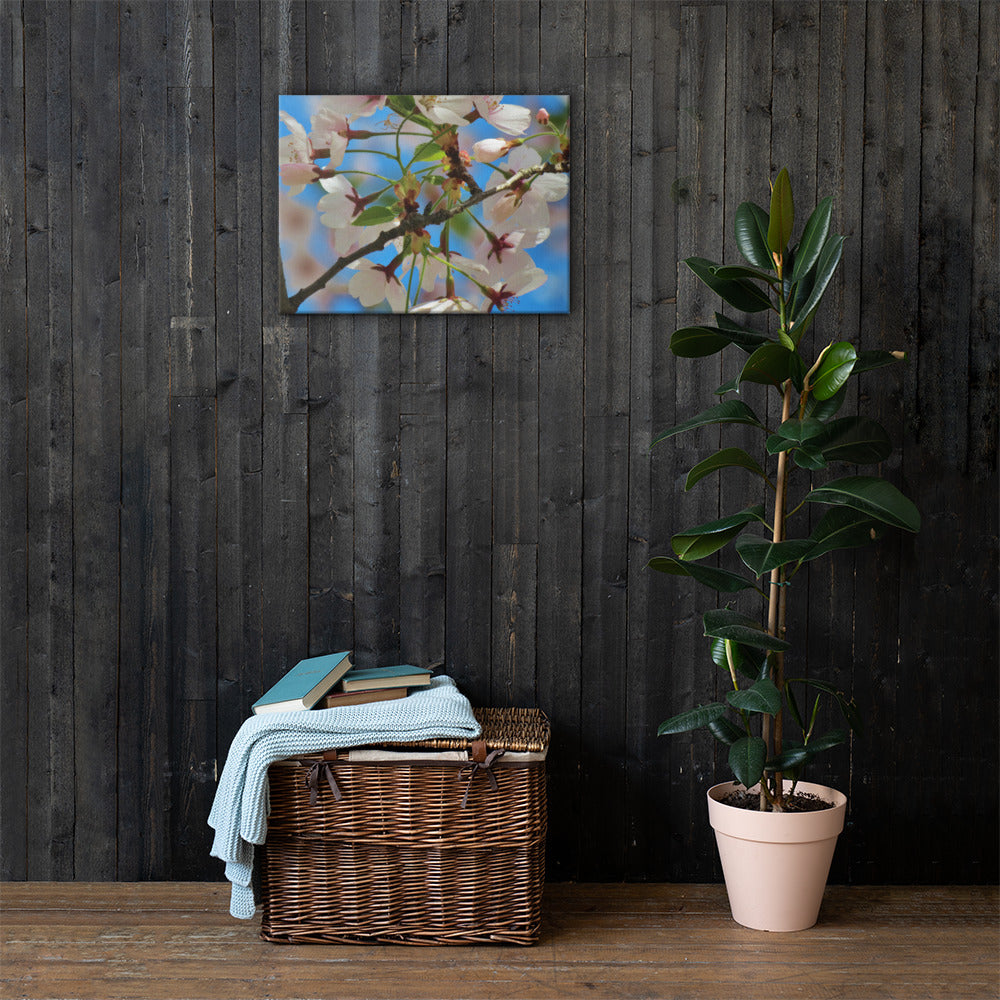 Canvas- Cherry Blossom Cluster