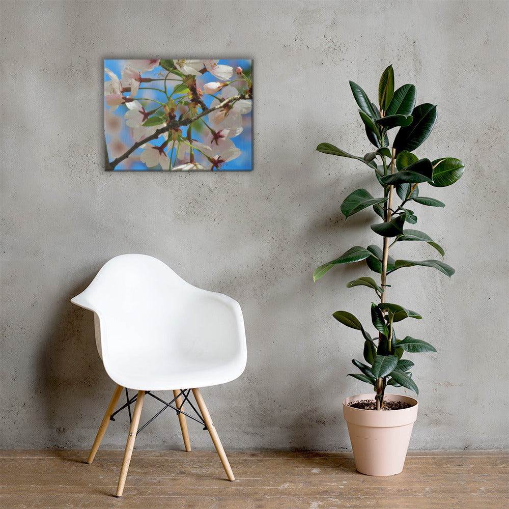 Canvas- Cherry Blossom Cluster