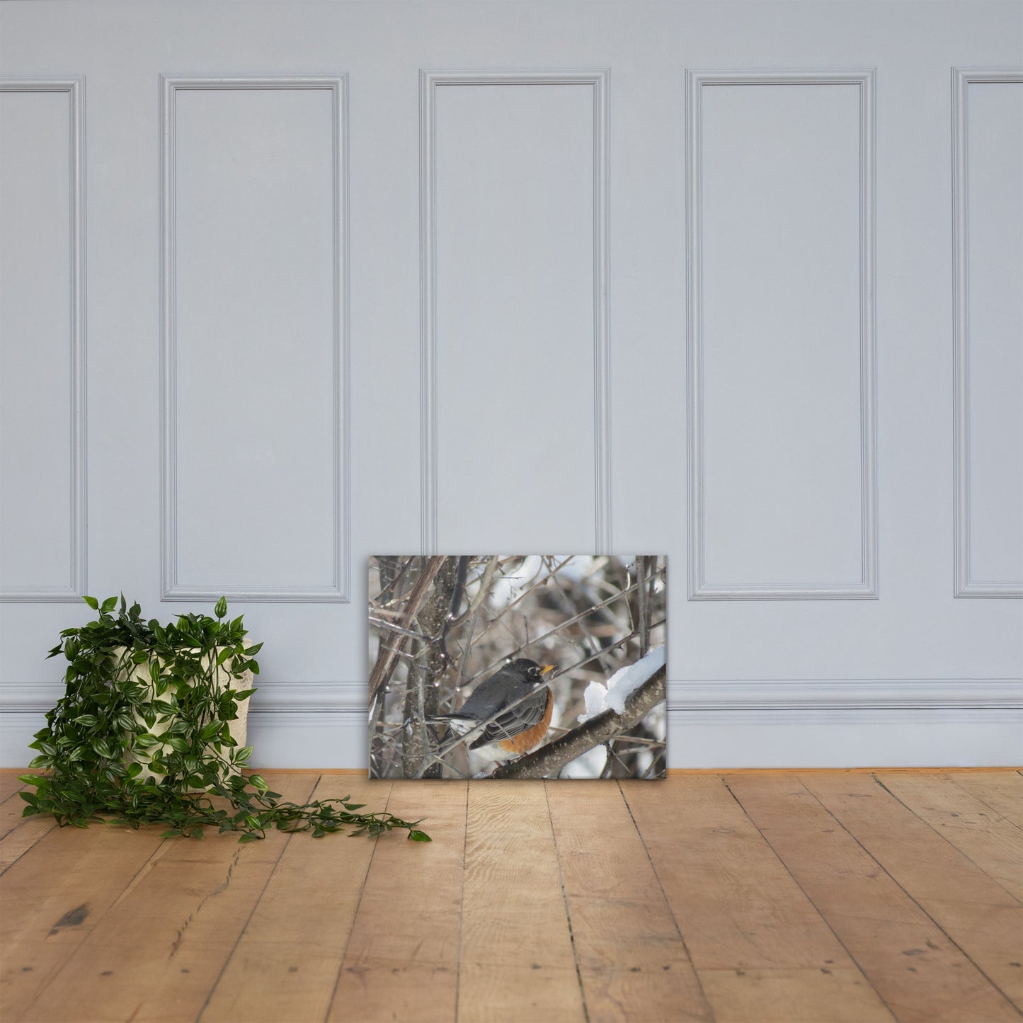 Toile- Robin des neiges