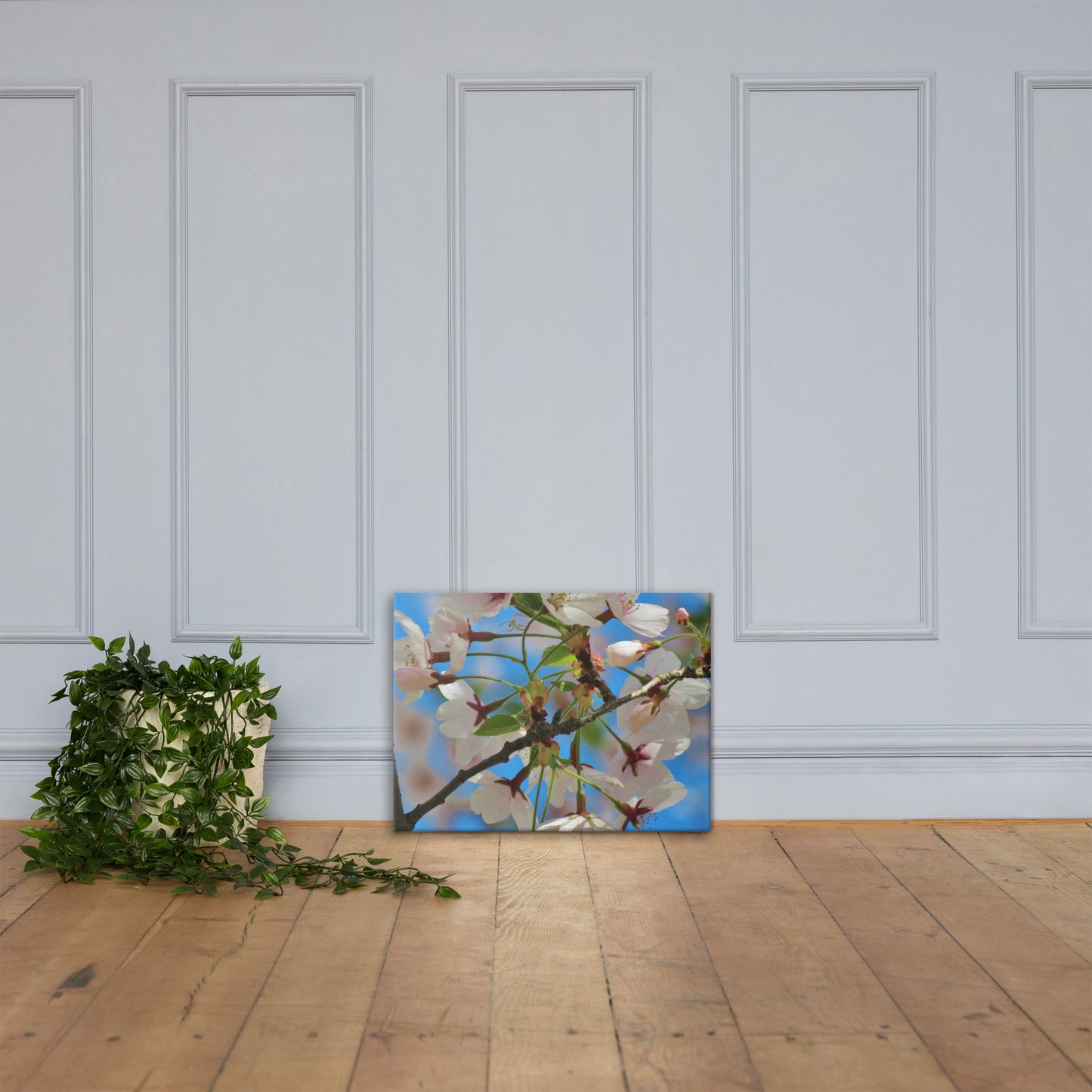 Canvas- Cherry Blossom Cluster