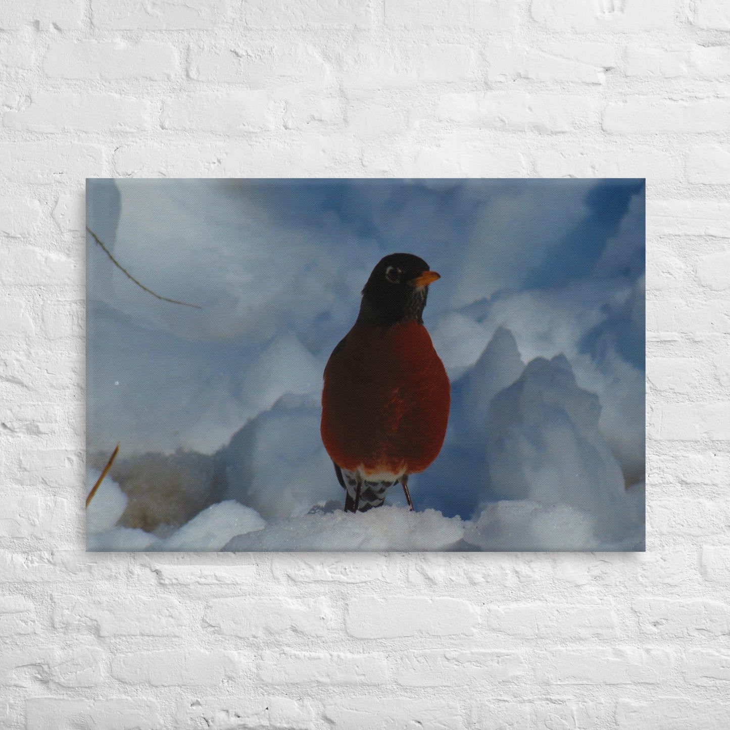 Canvas- Winter Robin 2