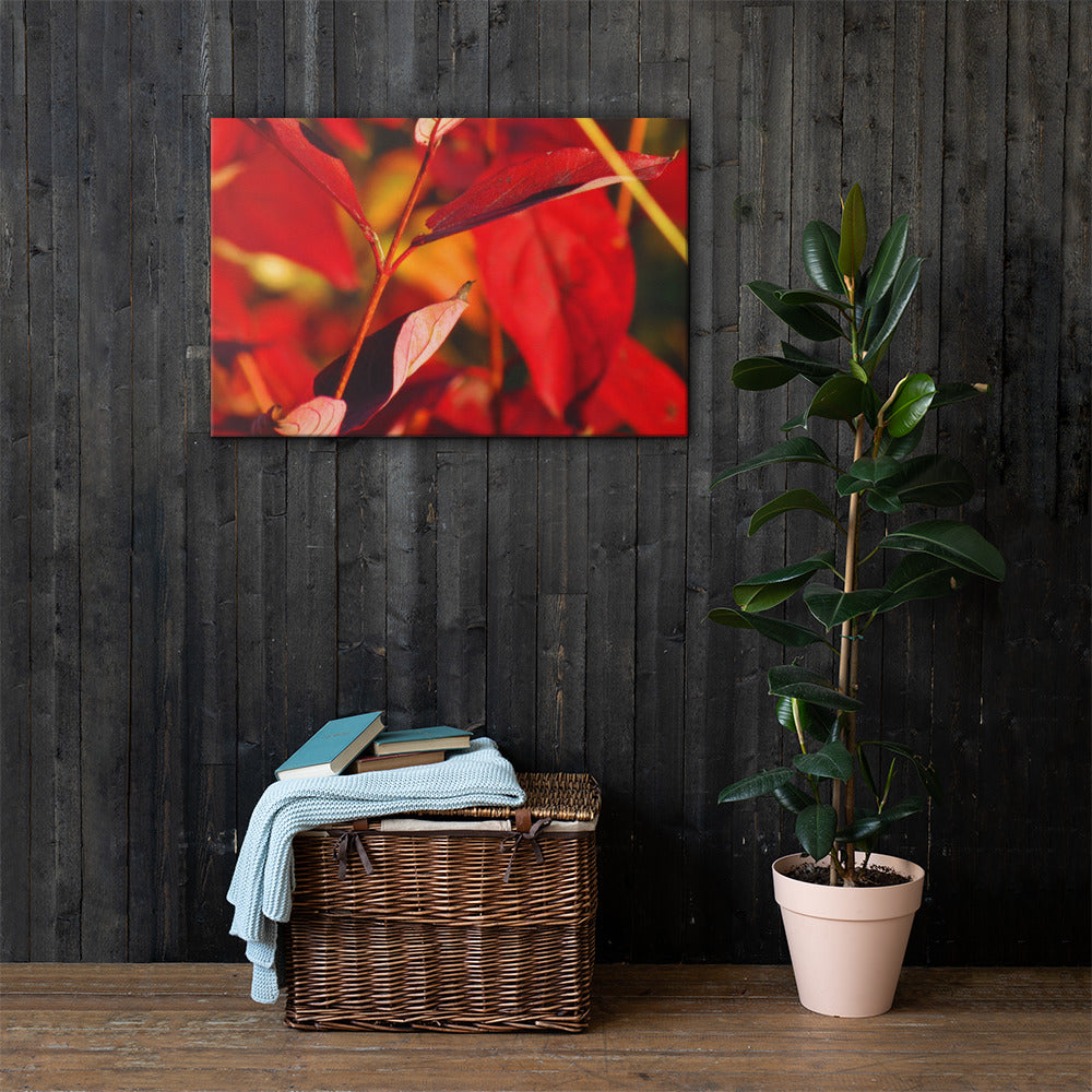 Canvas- Red & Gold Foliage 2