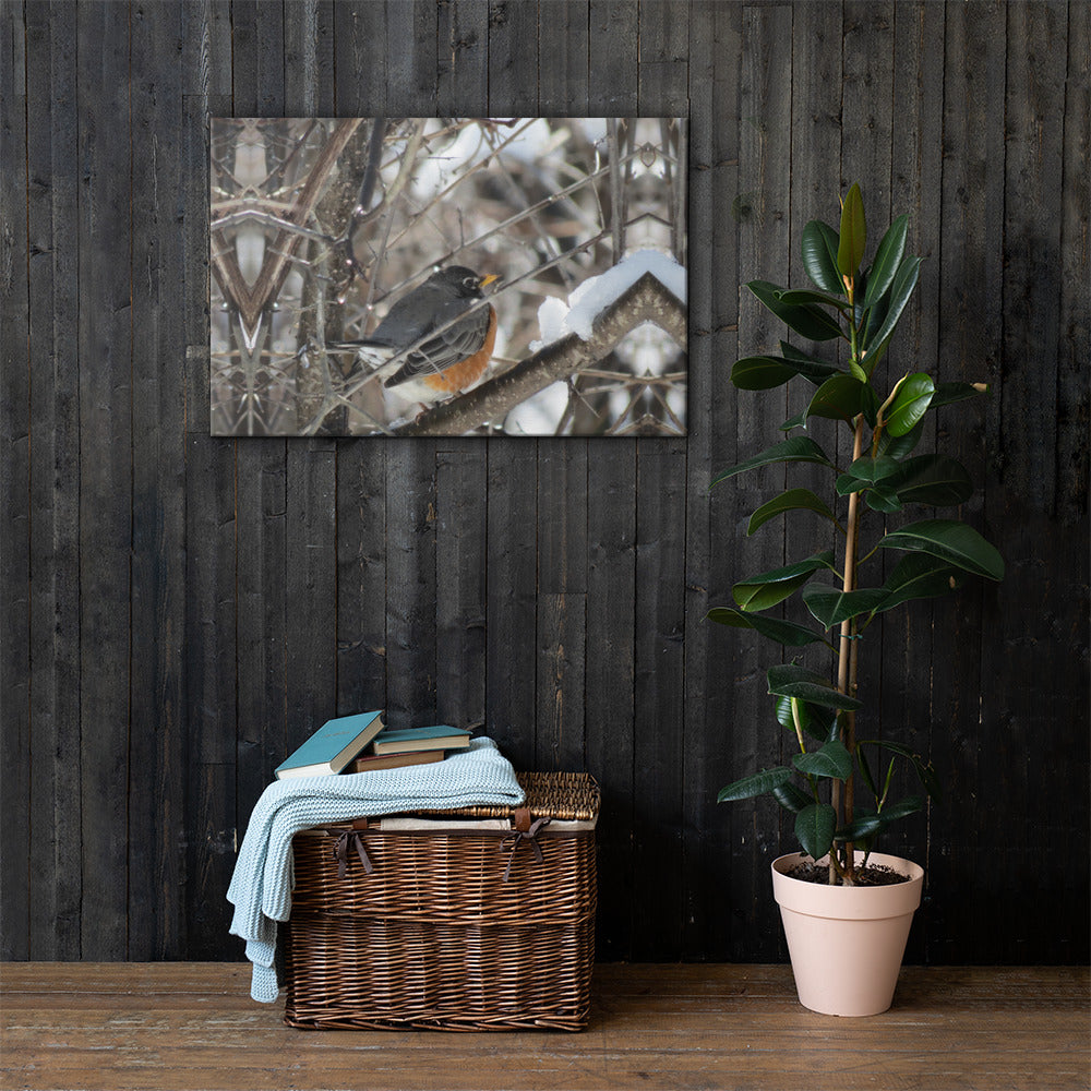 Toile- Robin des neiges