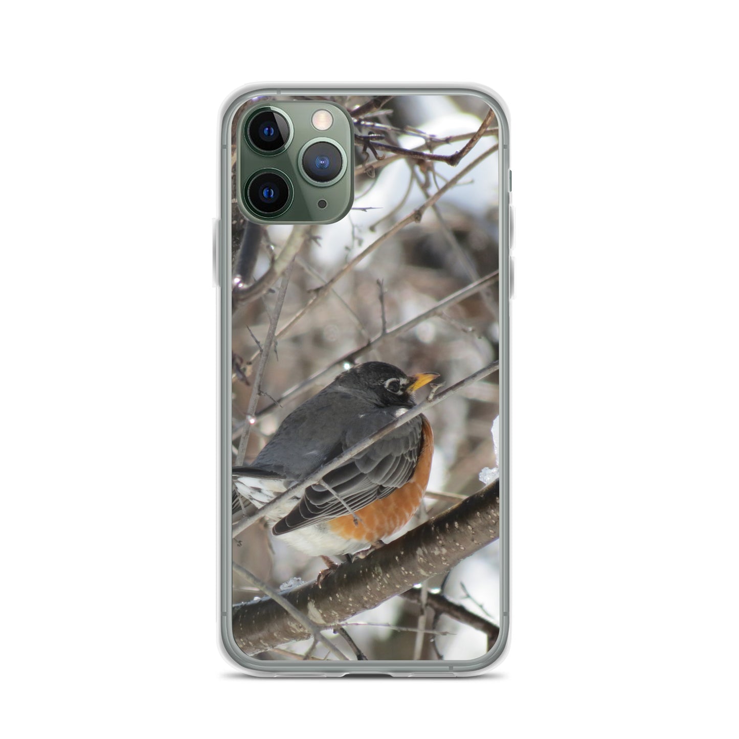 Coque transparente pour iPhone® - Snowy Robin