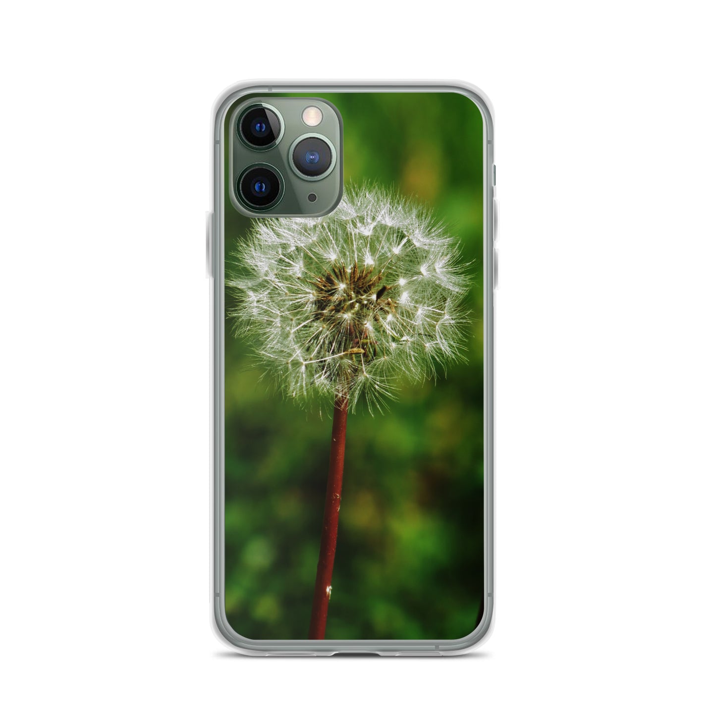 Clear Case for iPhone® - Dandelion Wish
