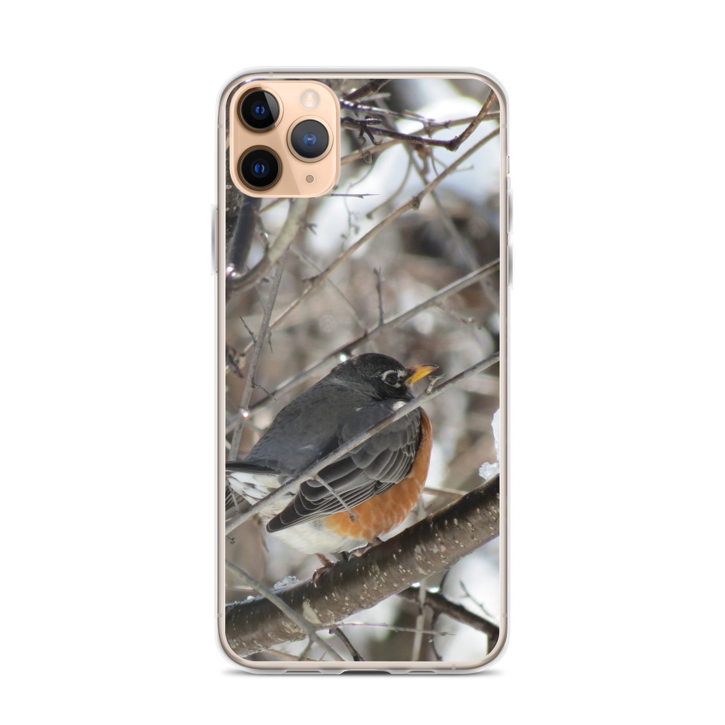 Coque transparente pour iPhone® - Snowy Robin