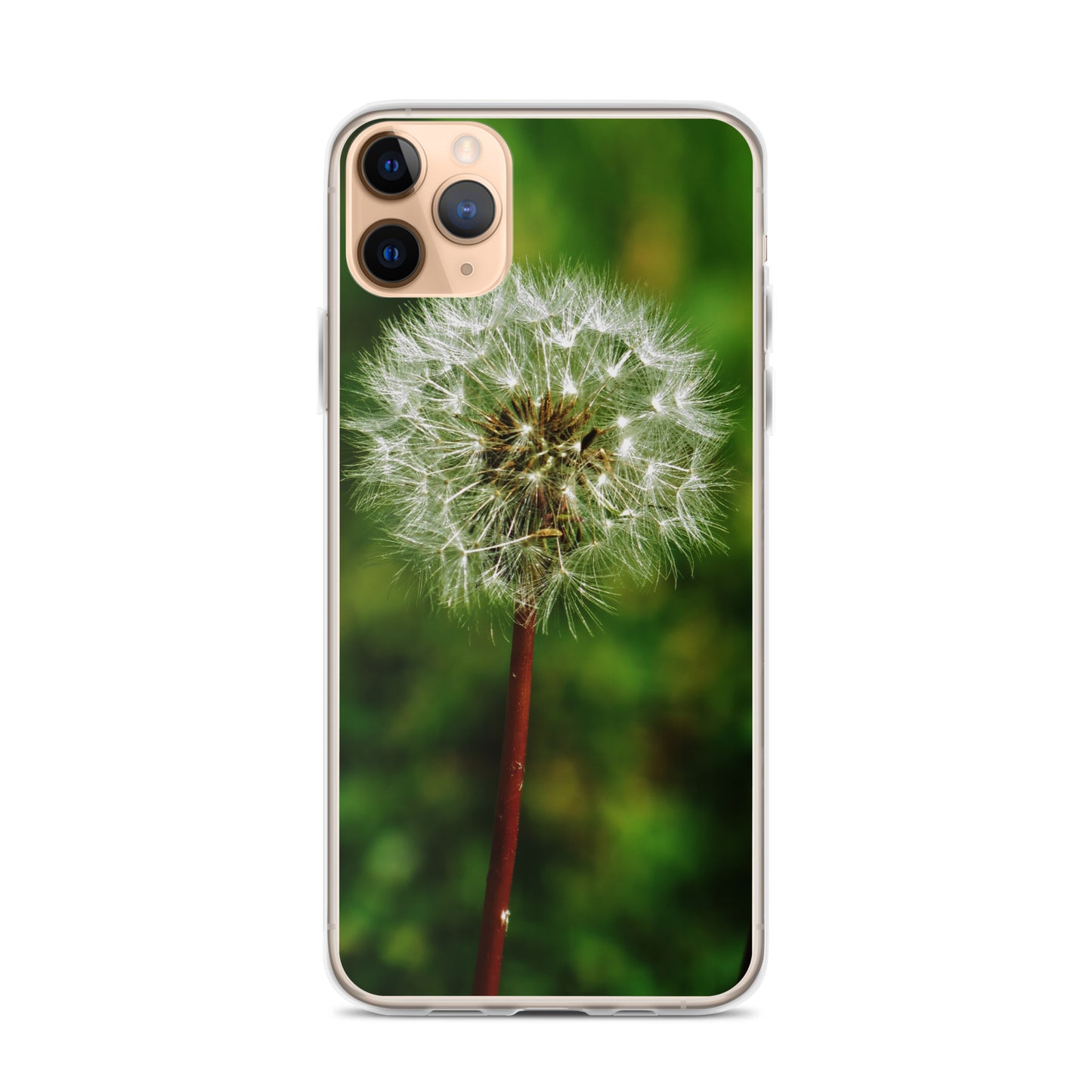 Clear Case for iPhone® - Dandelion Wish