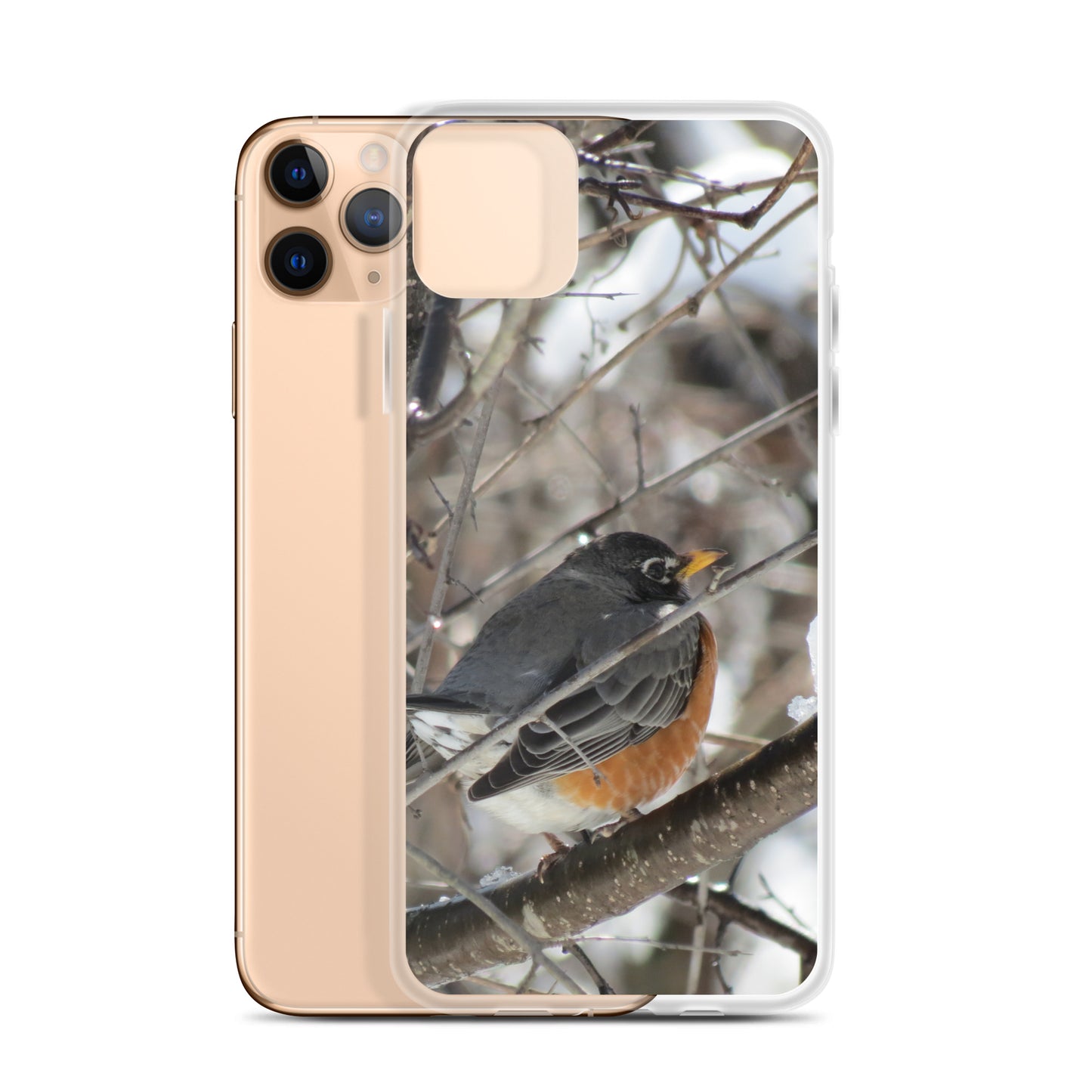 Coque transparente pour iPhone® - Snowy Robin