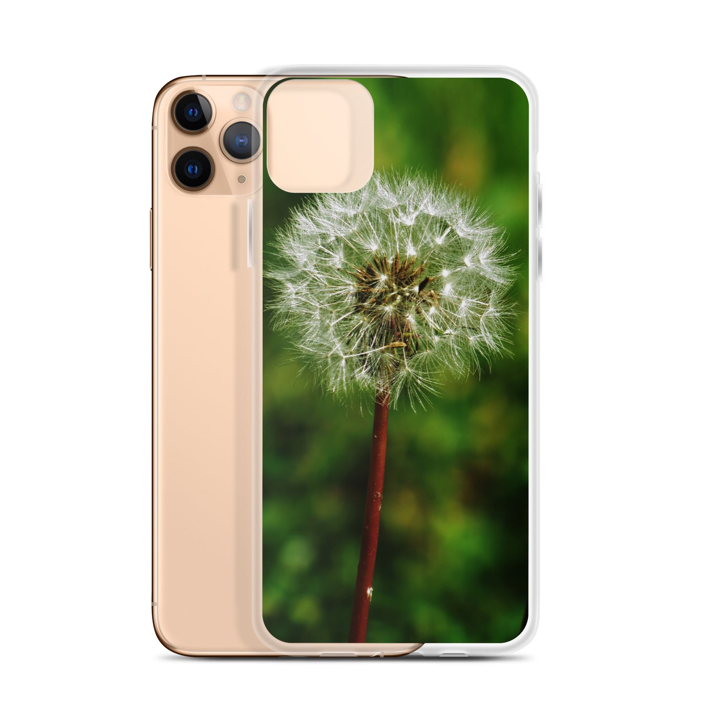 Clear Case for iPhone® - Dandelion Wish