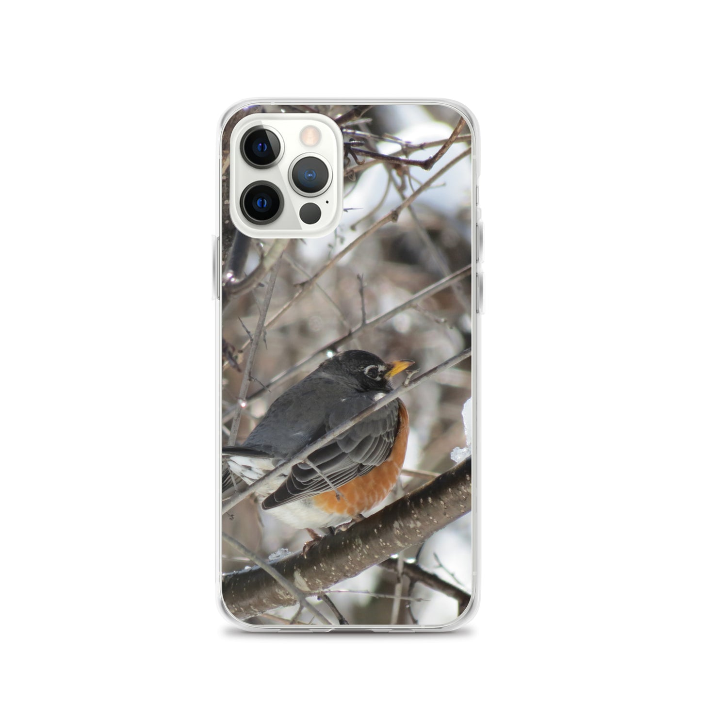Coque transparente pour iPhone® - Snowy Robin