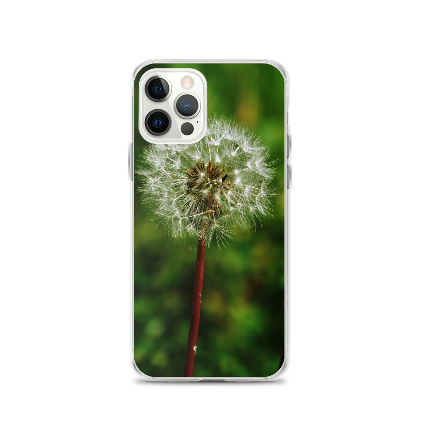 Clear Case for iPhone® - Dandelion Wish