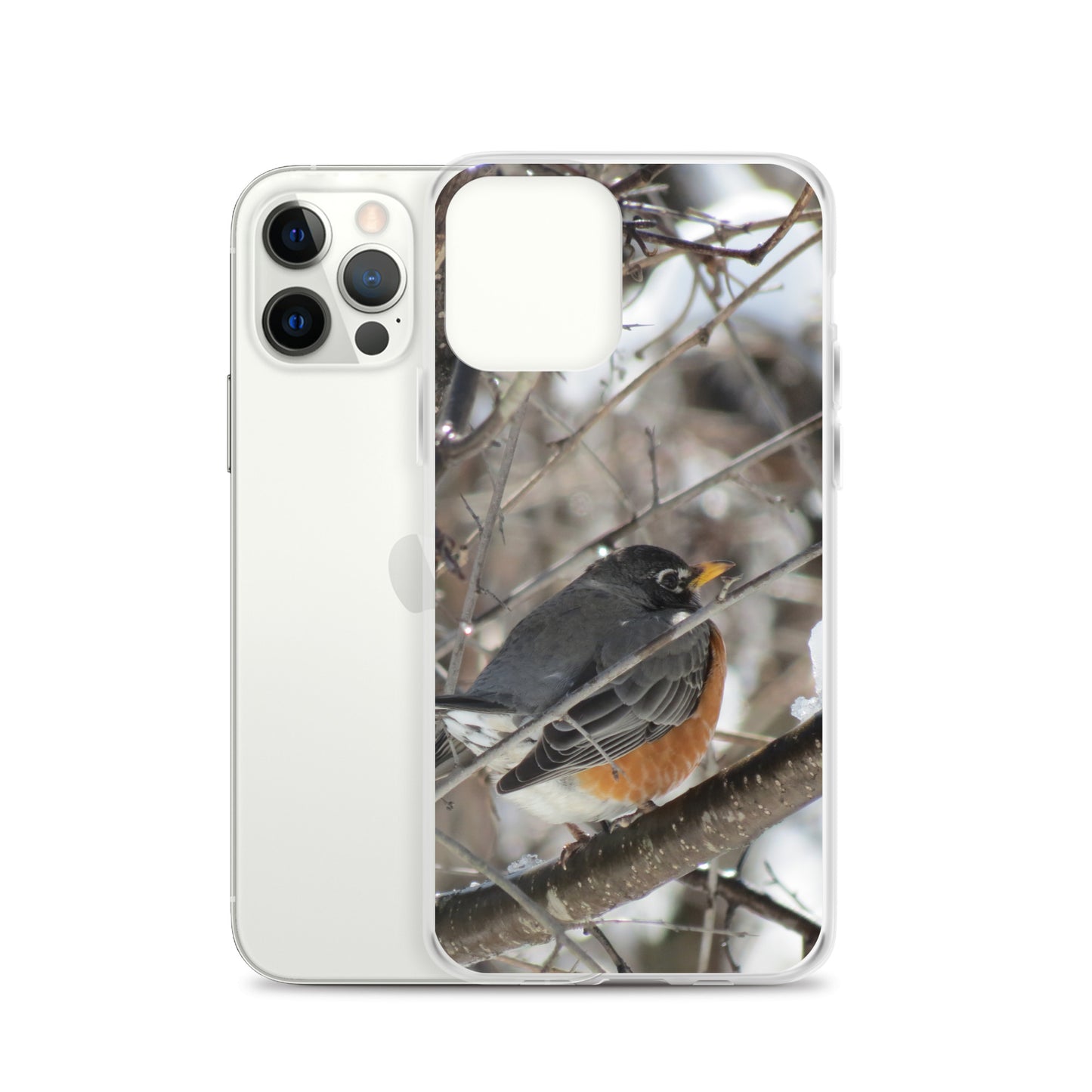 Coque transparente pour iPhone® - Snowy Robin
