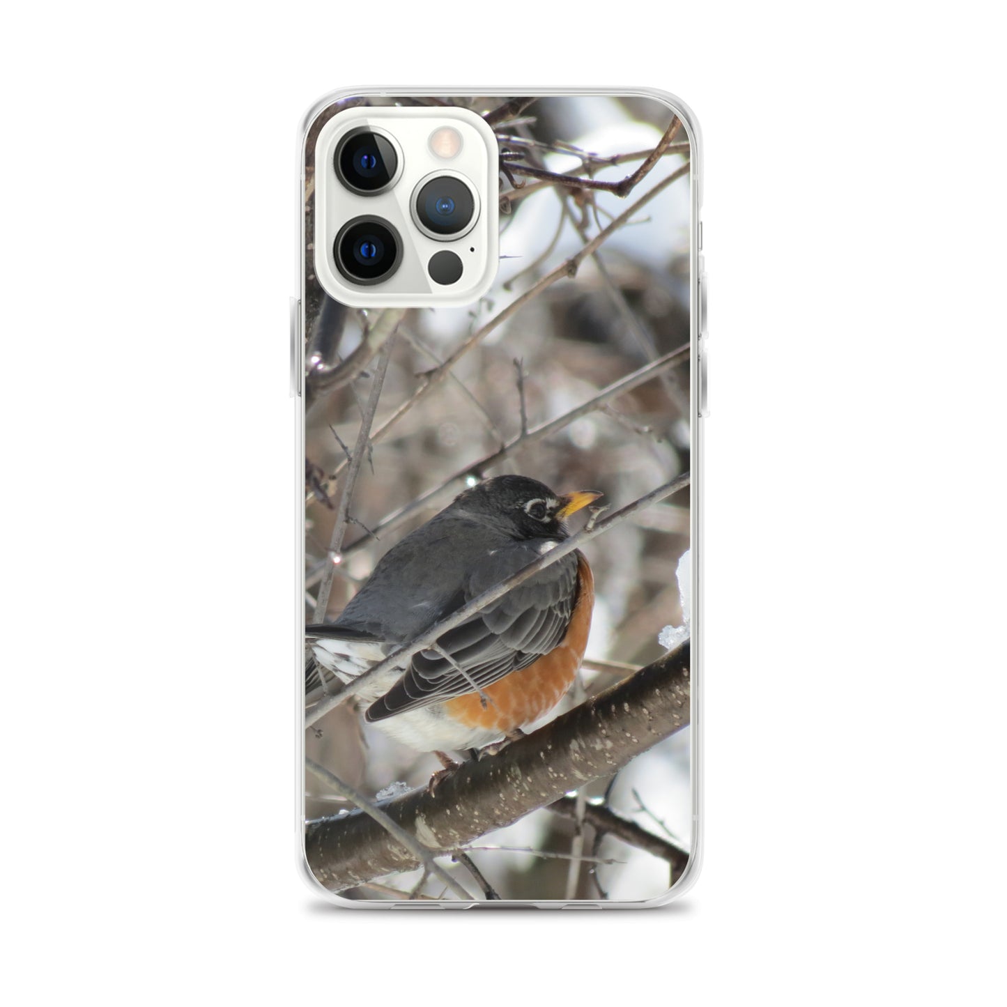 Coque transparente pour iPhone® - Snowy Robin