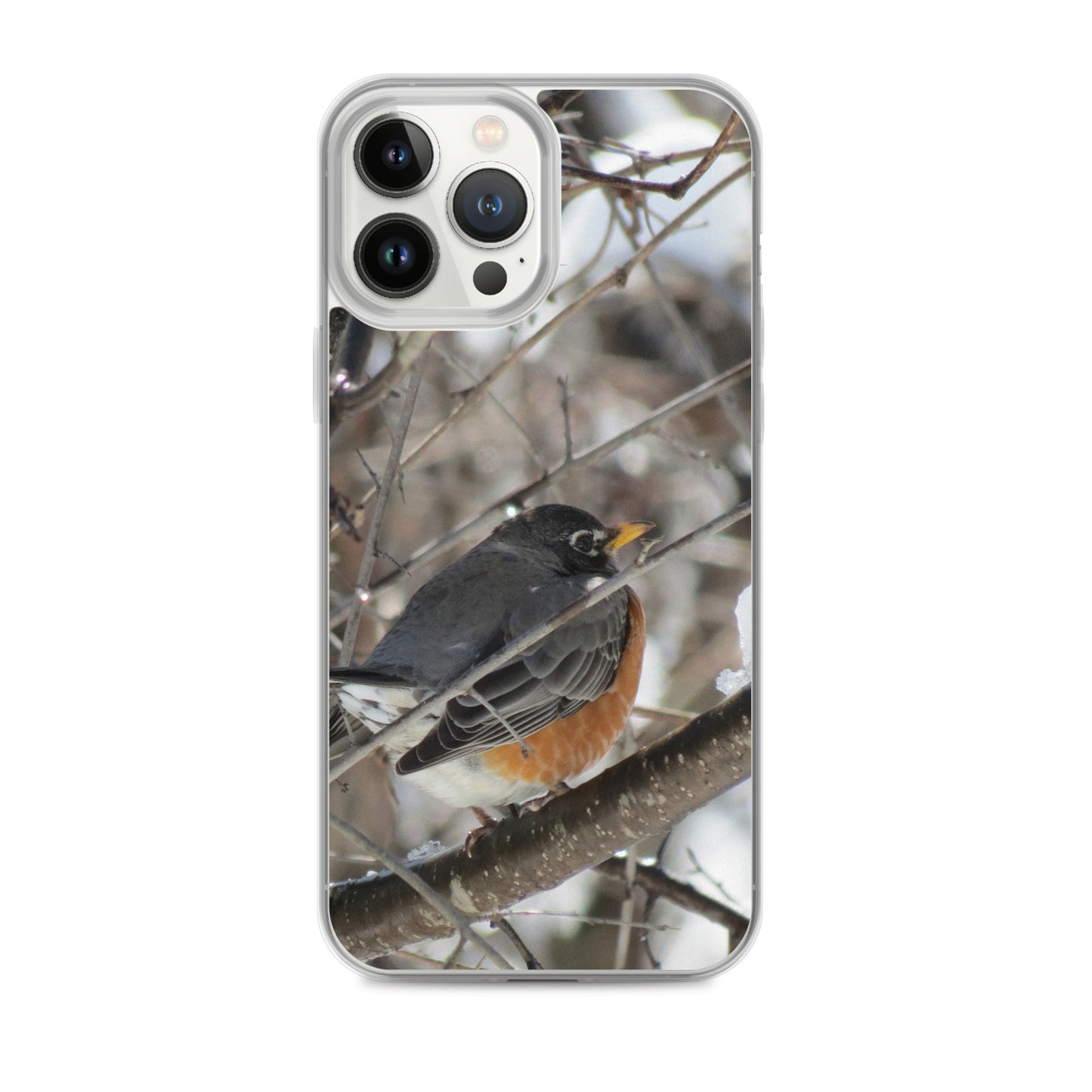 Clear Case for iPhone®- Snowy Robin