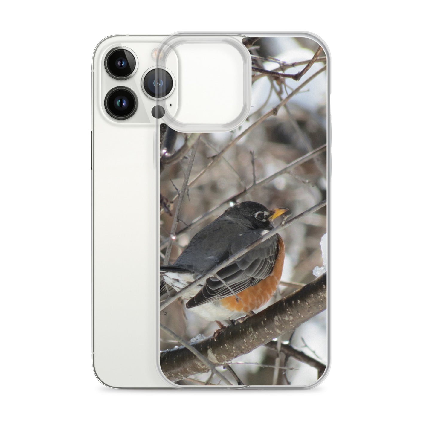 Coque transparente pour iPhone® - Snowy Robin