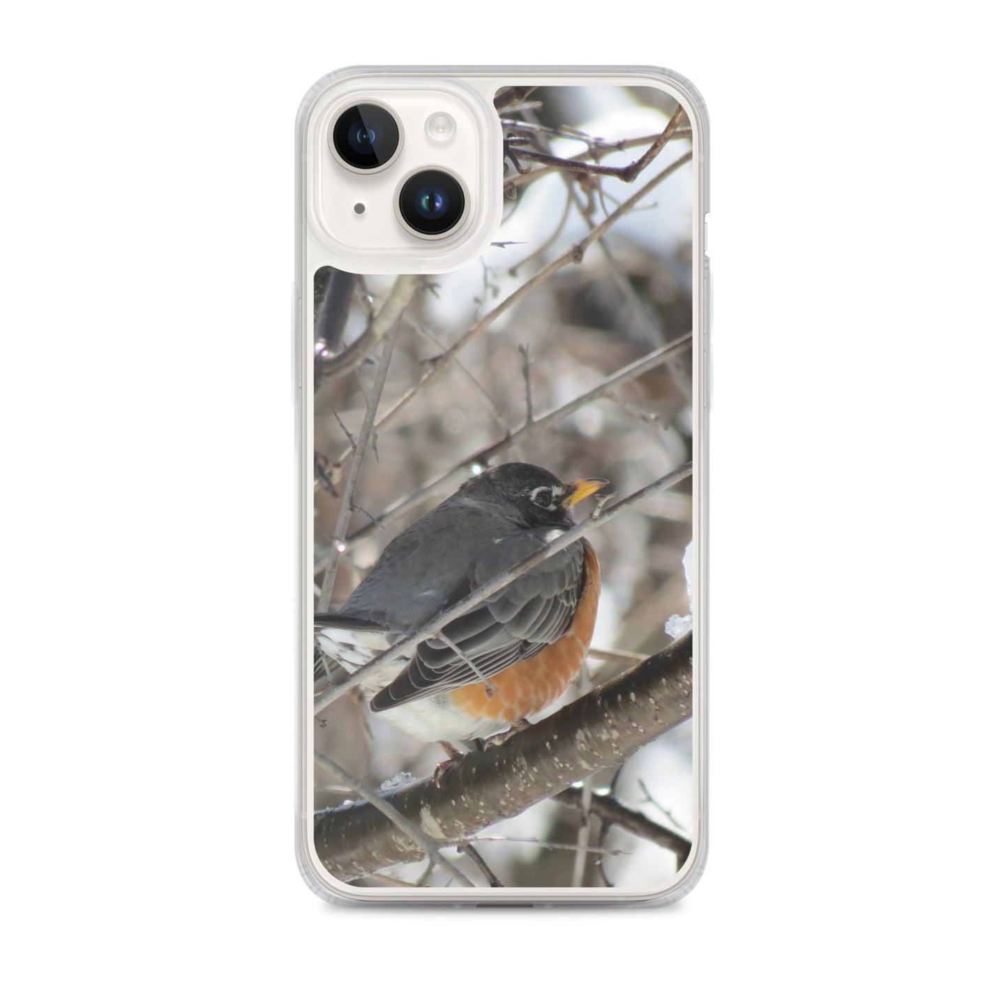 Coque transparente pour iPhone® - Snowy Robin