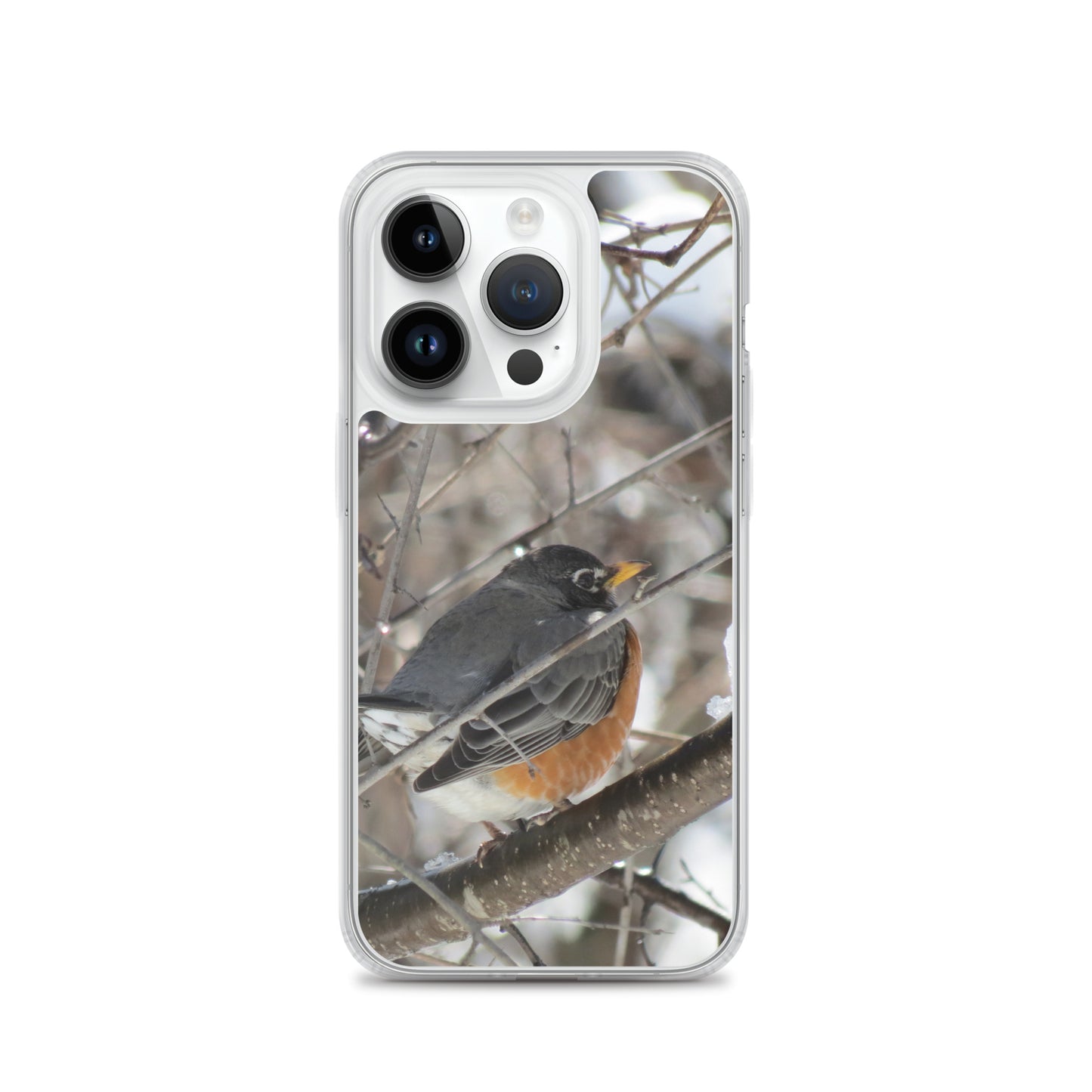 Coque transparente pour iPhone® - Snowy Robin