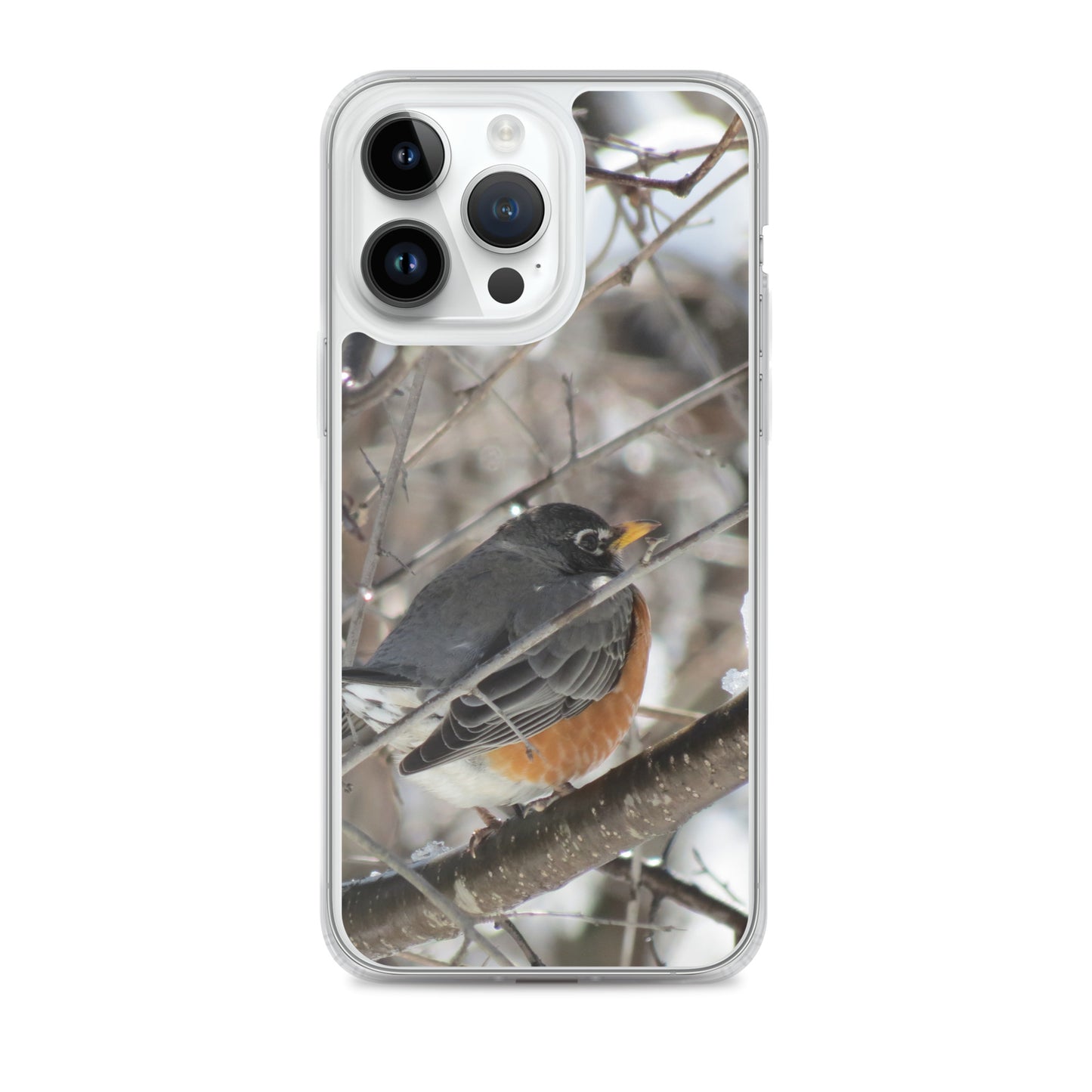 Coque transparente pour iPhone® - Snowy Robin