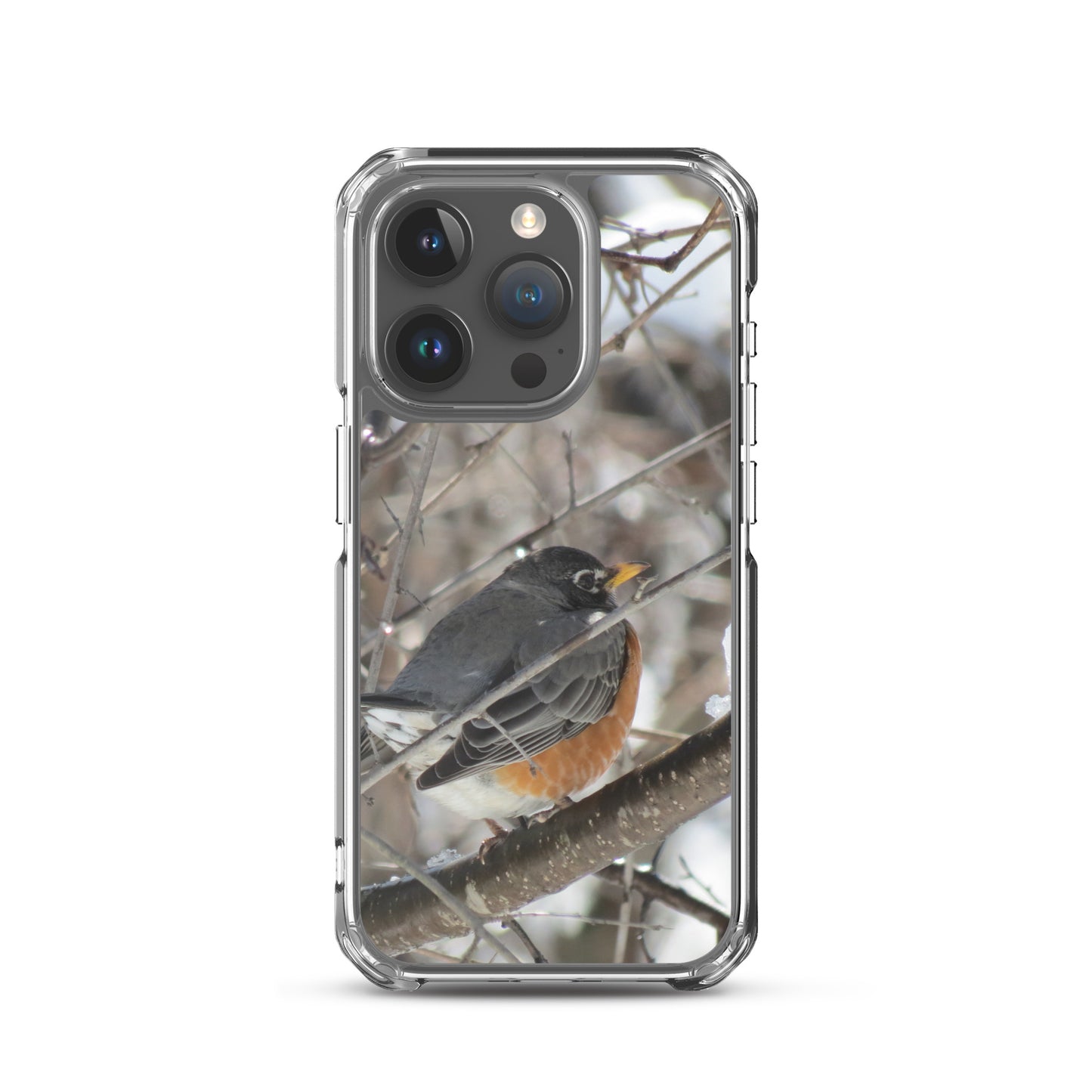 Coque transparente pour iPhone® - Snowy Robin