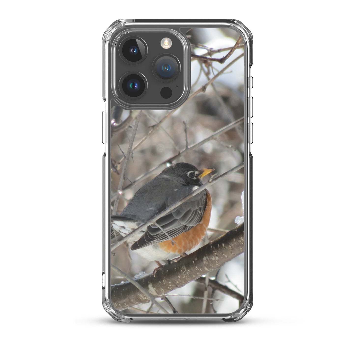 Coque transparente pour iPhone® - Snowy Robin