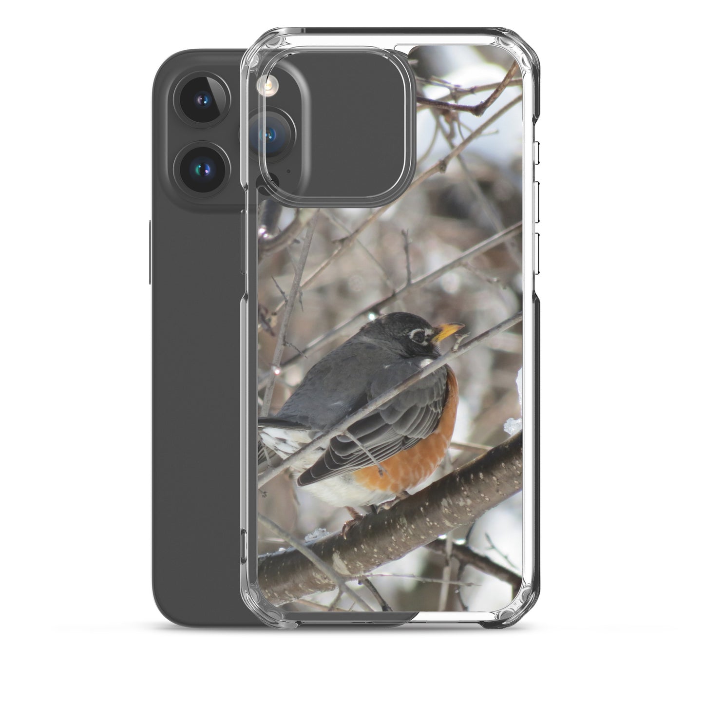 Coque transparente pour iPhone® - Snowy Robin