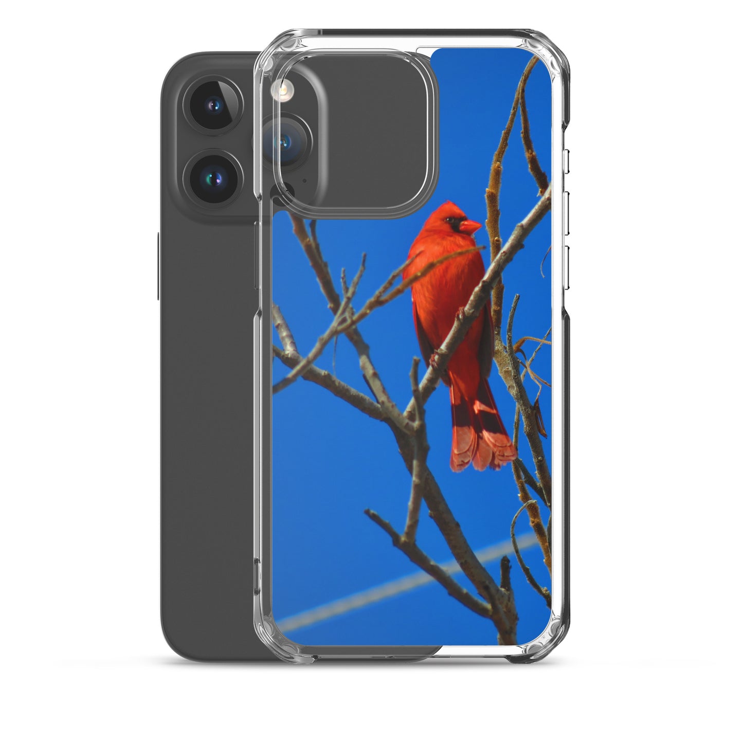 Étui transparent pour iPhone® - Cardinal rouge