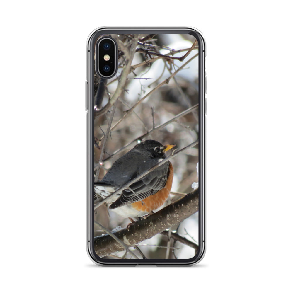 Clear Case for iPhone®- Snowy Robin